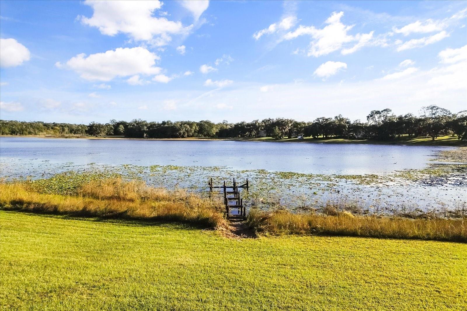 3000 PINE GROVE LN, LADY LAKE, FL, 32159