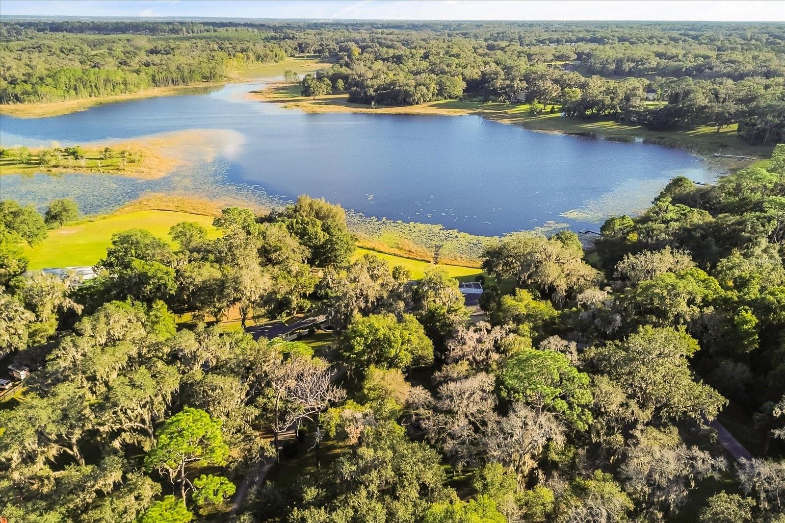 3000 PINE GROVE LN, LADY LAKE, FL, 32159