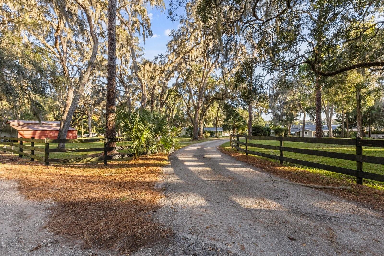 3000 PINE GROVE LN, LADY LAKE, FL, 32159