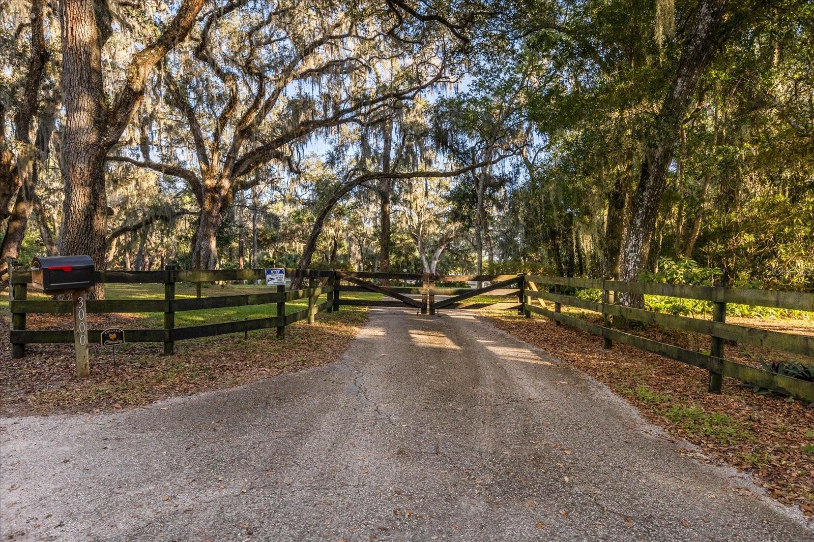 3000 PINE GROVE LN, LADY LAKE, FL, 32159