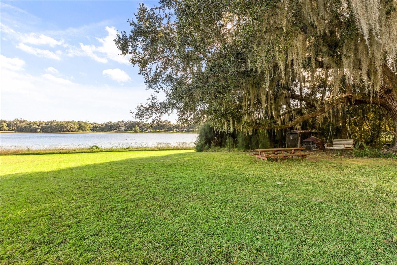3000 PINE GROVE LN, LADY LAKE, FL, 32159
