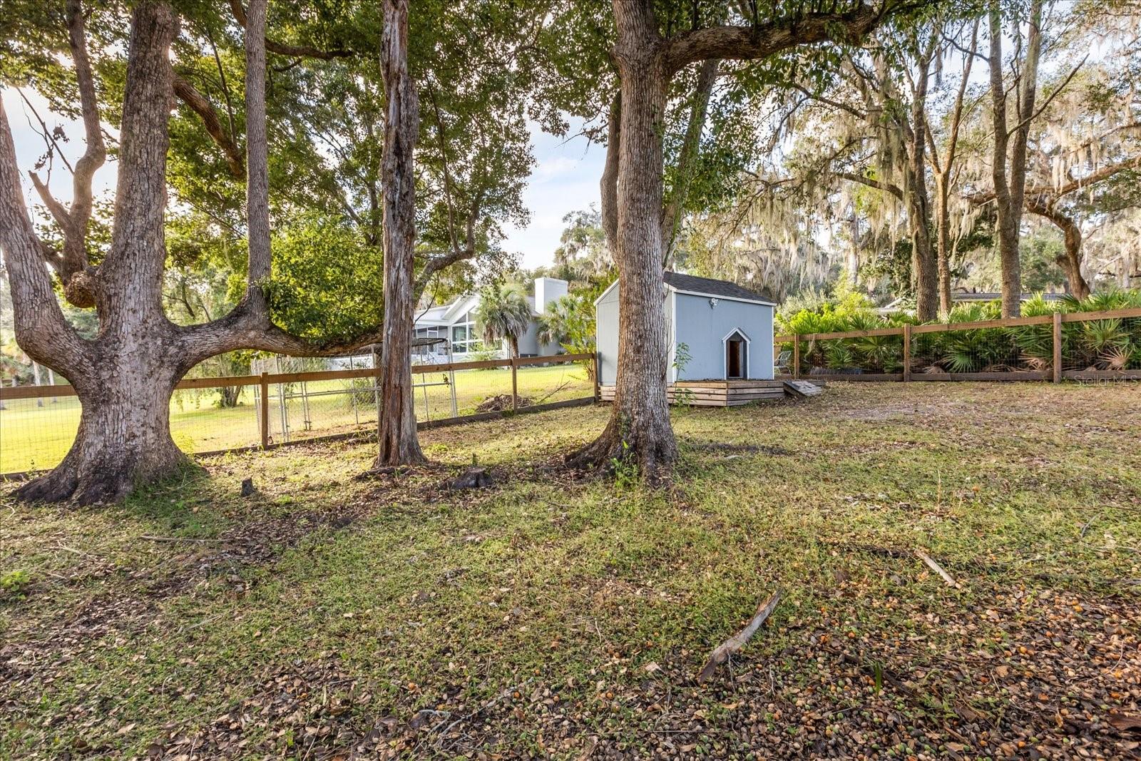 3000 PINE GROVE LN, LADY LAKE, FL, 32159