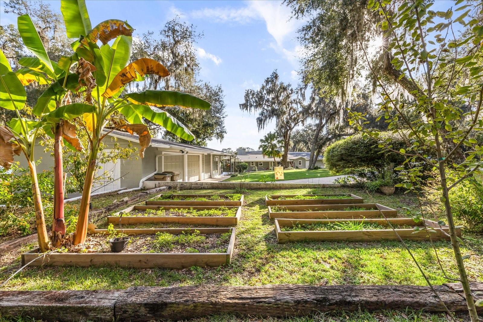 3000 PINE GROVE LN, LADY LAKE, FL, 32159