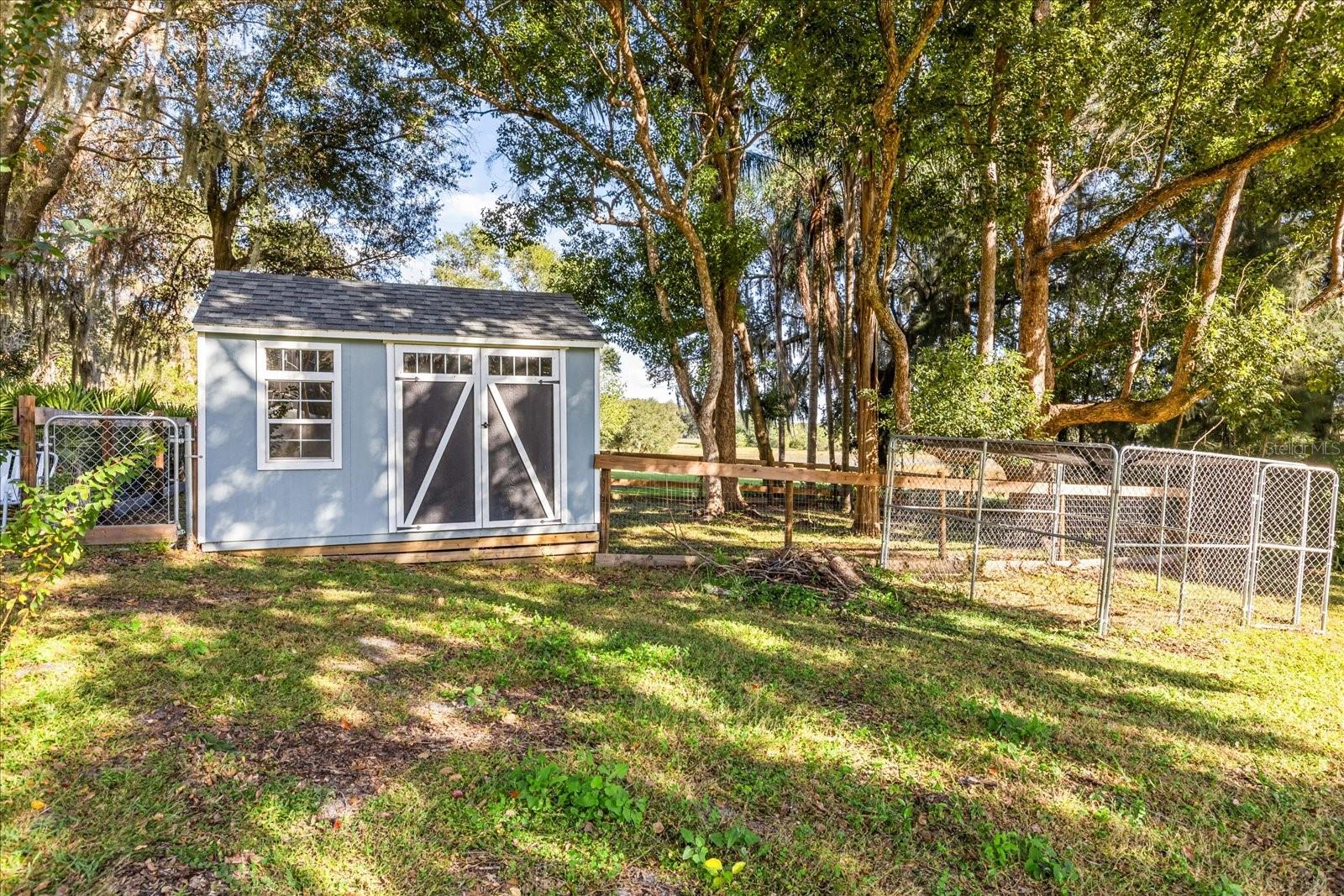 3000 PINE GROVE LN, LADY LAKE, FL, 32159
