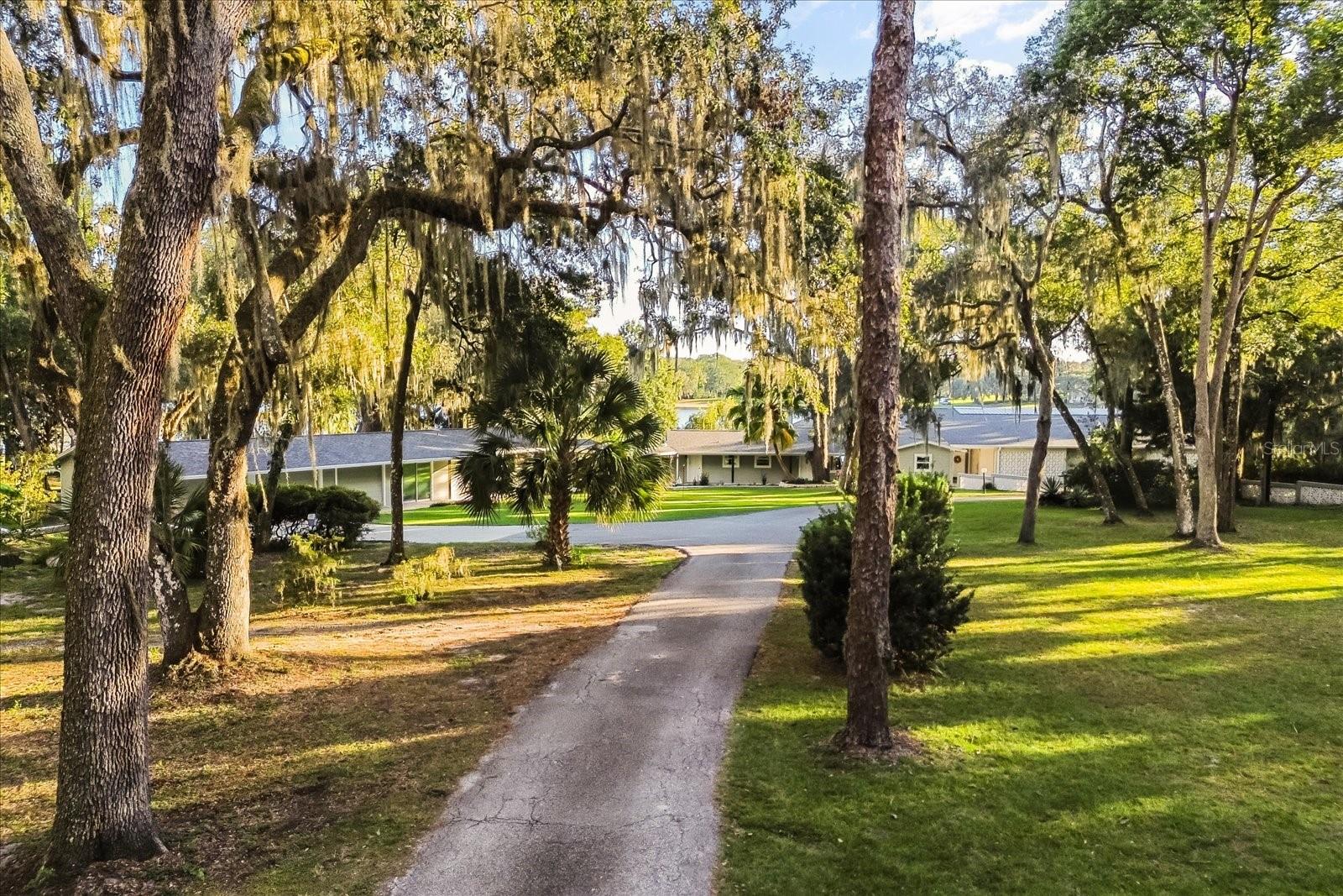 3000 PINE GROVE LN, LADY LAKE, FL, 32159