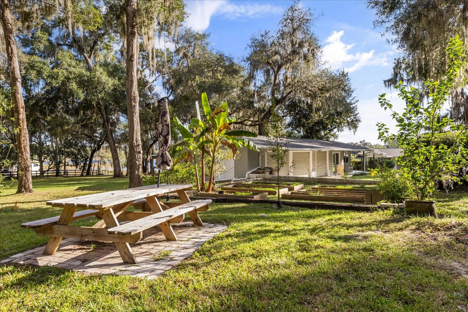 3000 PINE GROVE LN, LADY LAKE, FL, 32159