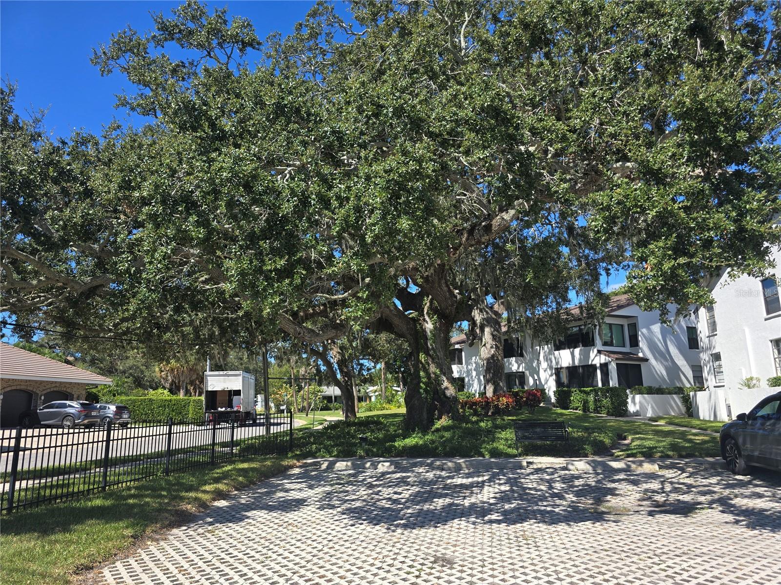 411 S BAYSHORE BLVD #1, SAFETY HARBOR, FL, 34695