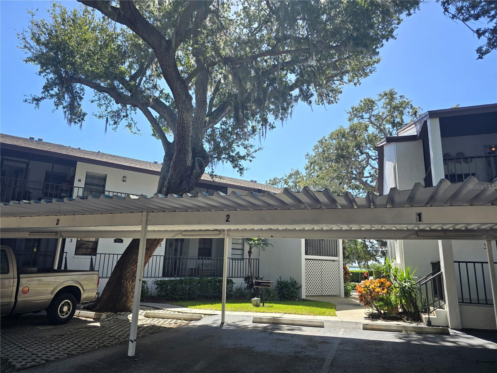 411 S BAYSHORE BLVD #1, SAFETY HARBOR, FL, 34695