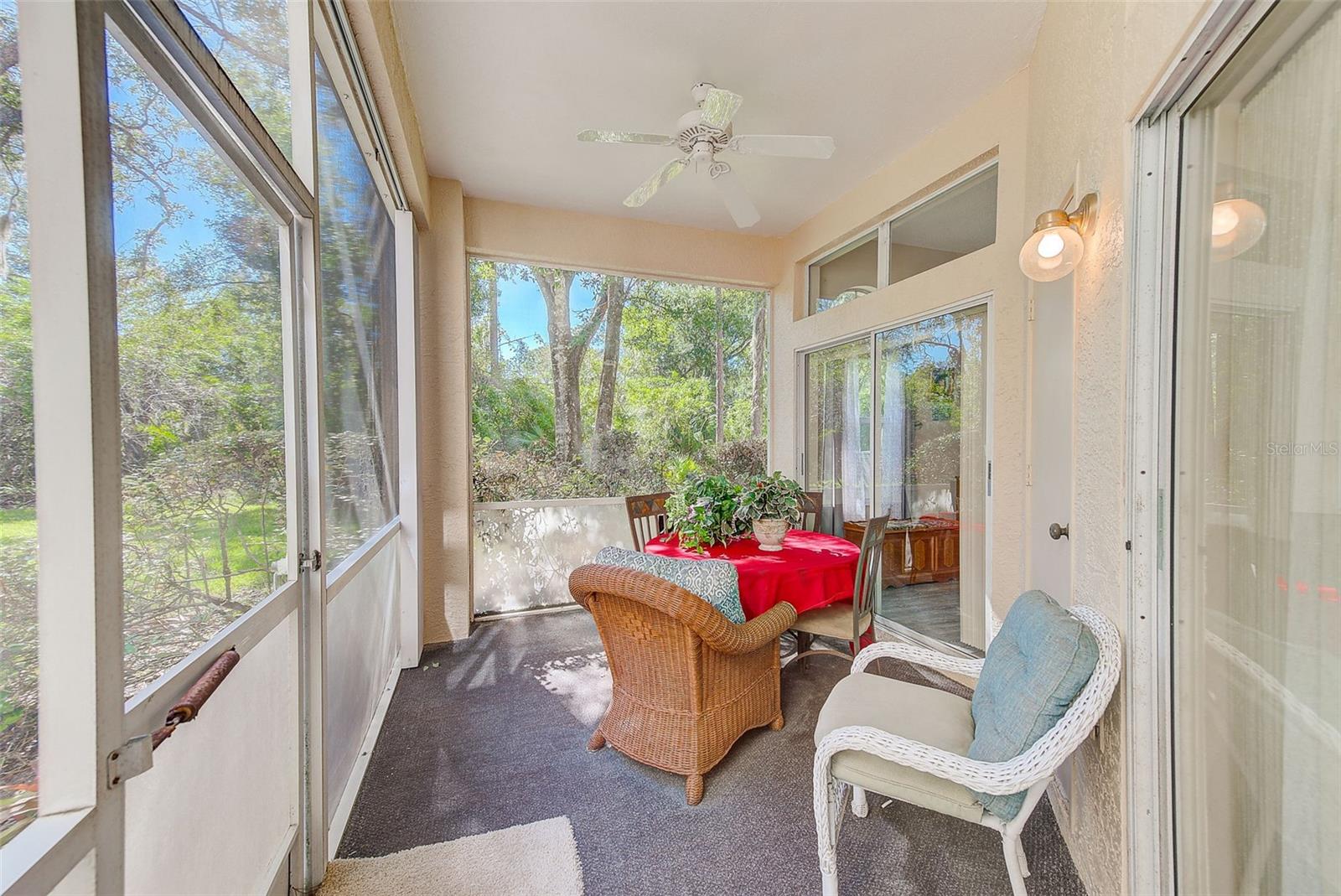 207 CLAYS TRL #207, OLDSMAR, FL, 34677