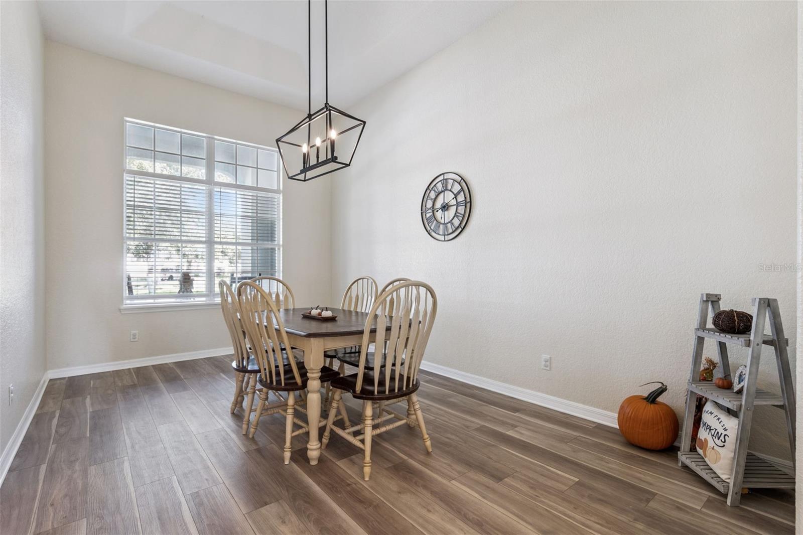 10904 SMOKEY RIDGE CT, CLERMONT, FL, 34711