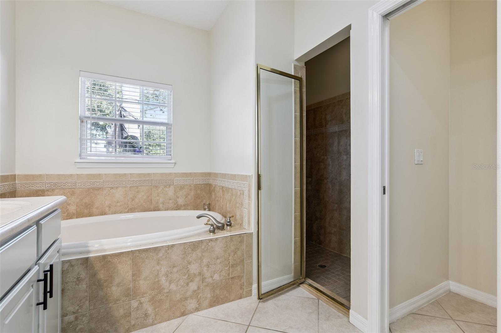 10904 SMOKEY RIDGE CT, CLERMONT, FL, 34711