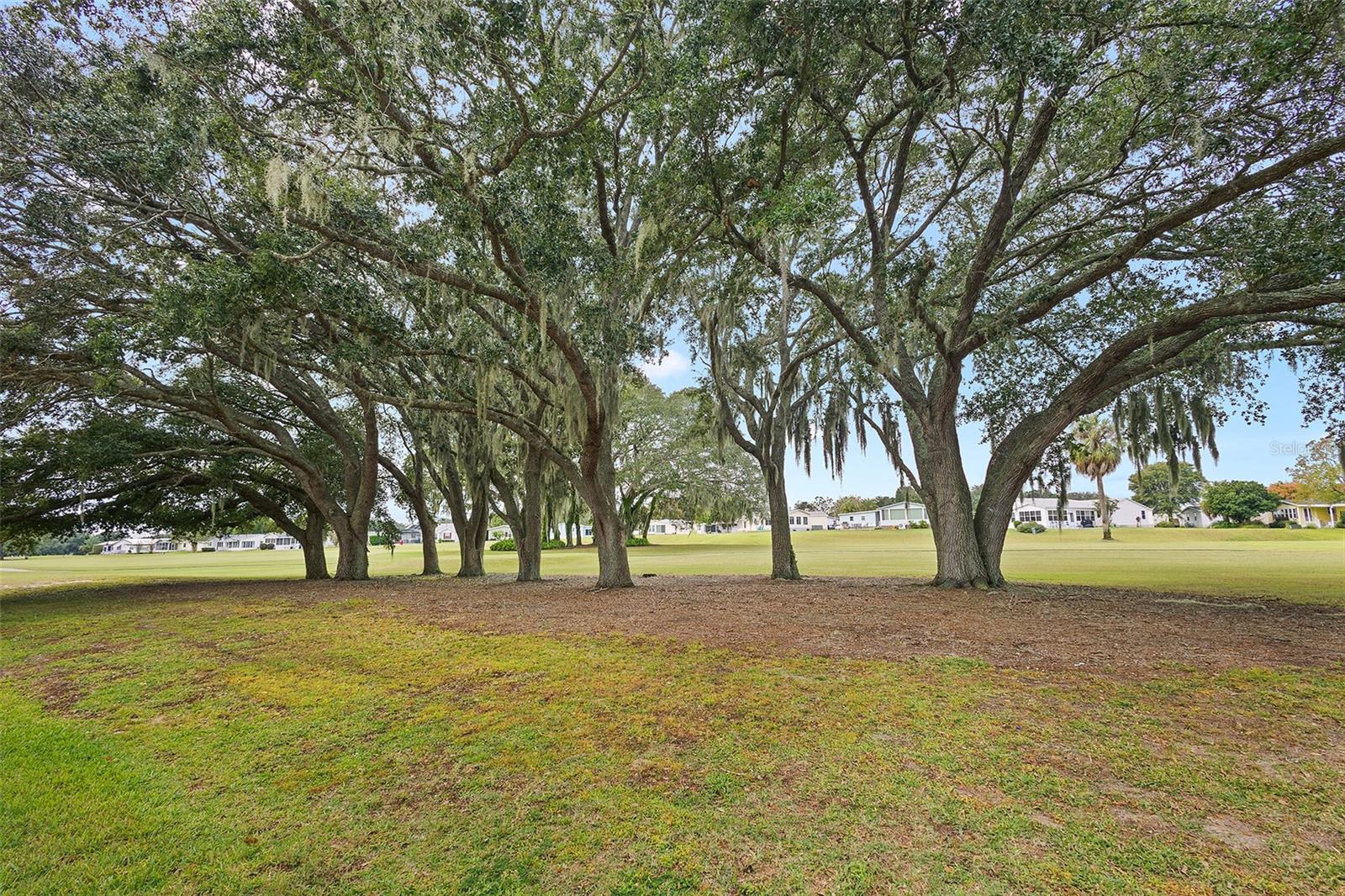 1536 E SCHWARTZ BLVD, THE VILLAGES, FL, 32159