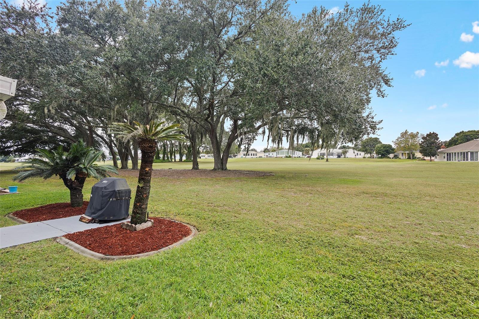 1536 E SCHWARTZ BLVD, THE VILLAGES, FL, 32159