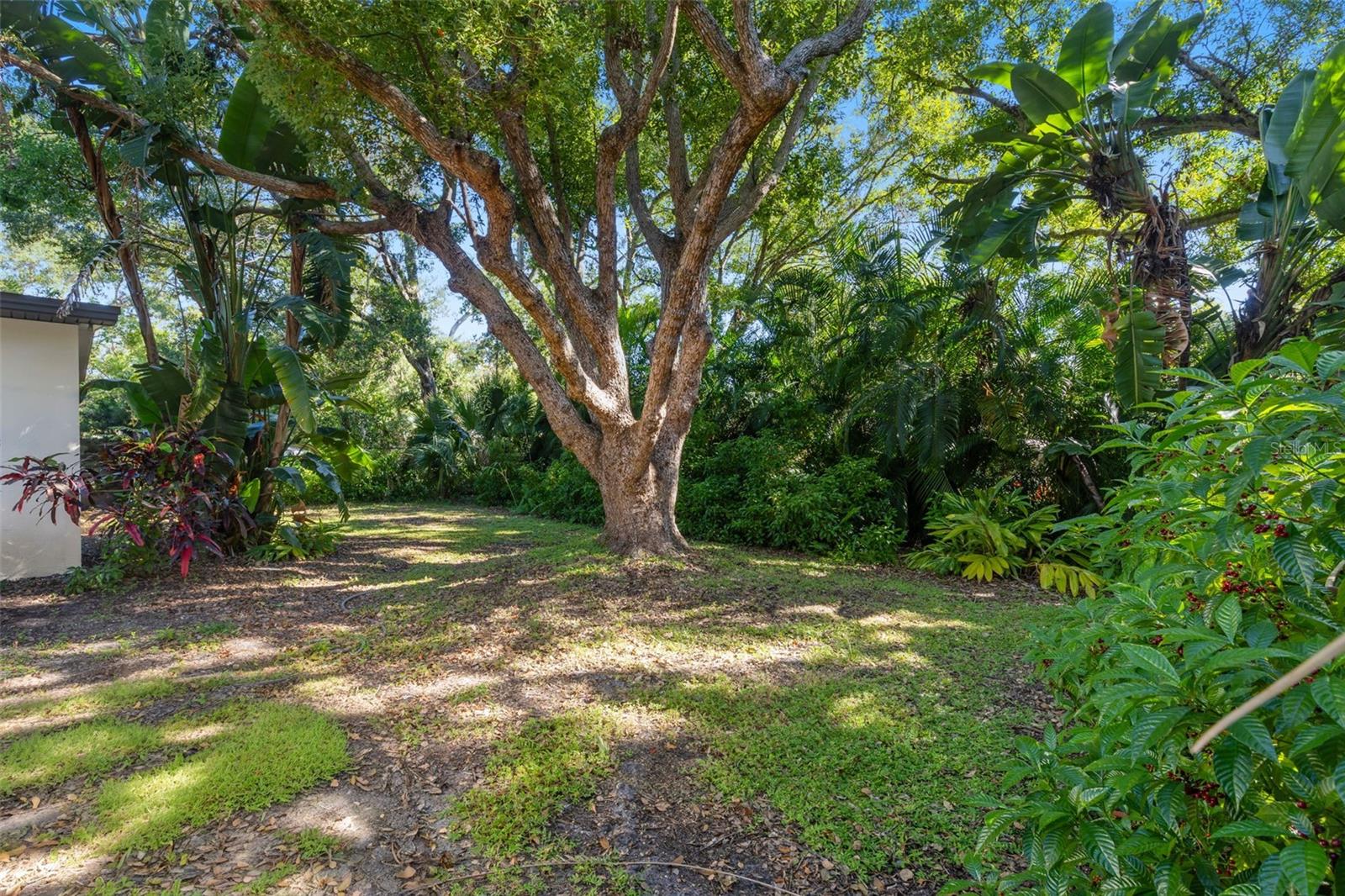 145 VELMA DR W, LARGO, FL, 33770