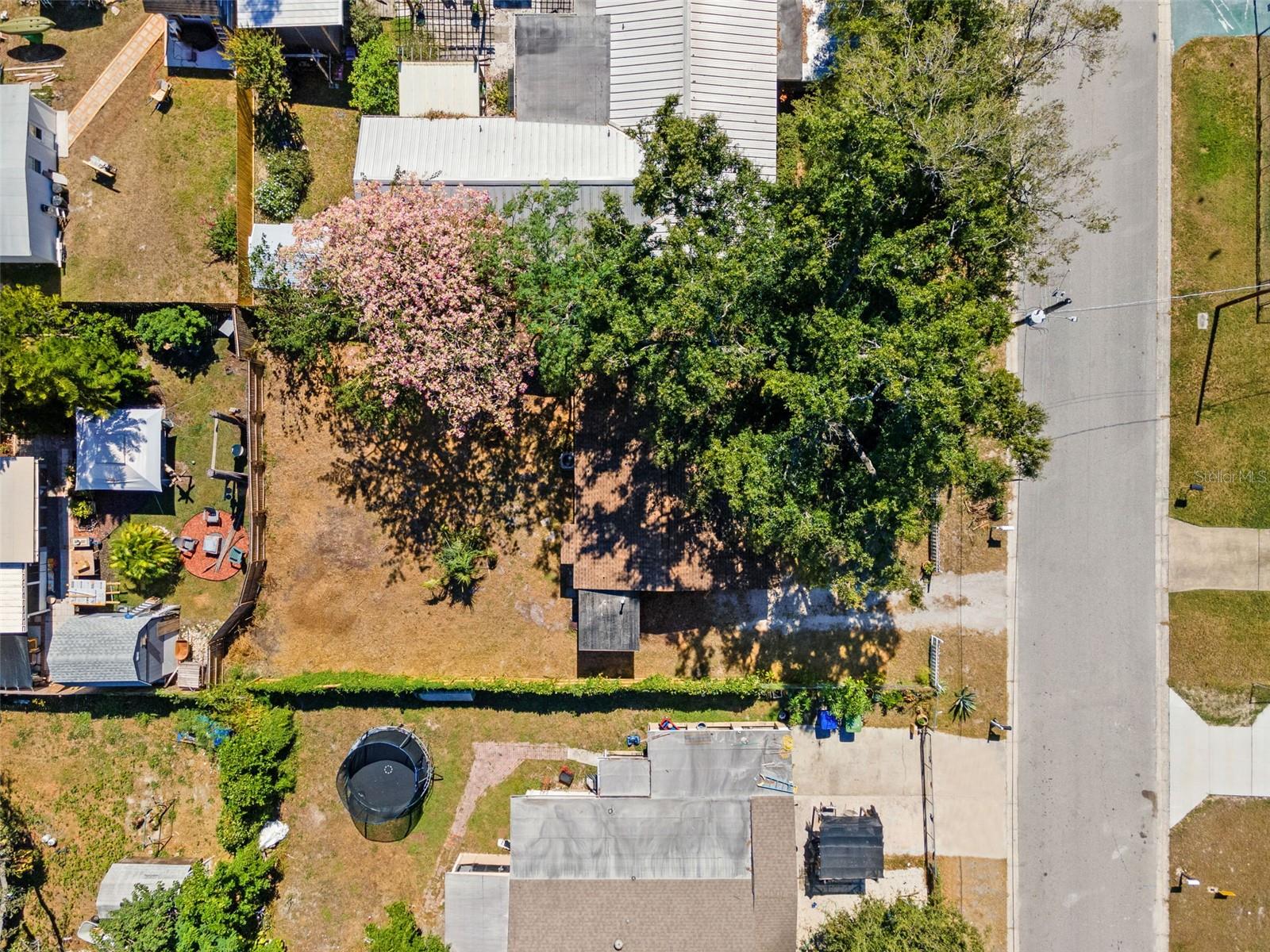 10015 N 25TH ST, TAMPA, FL, 33612