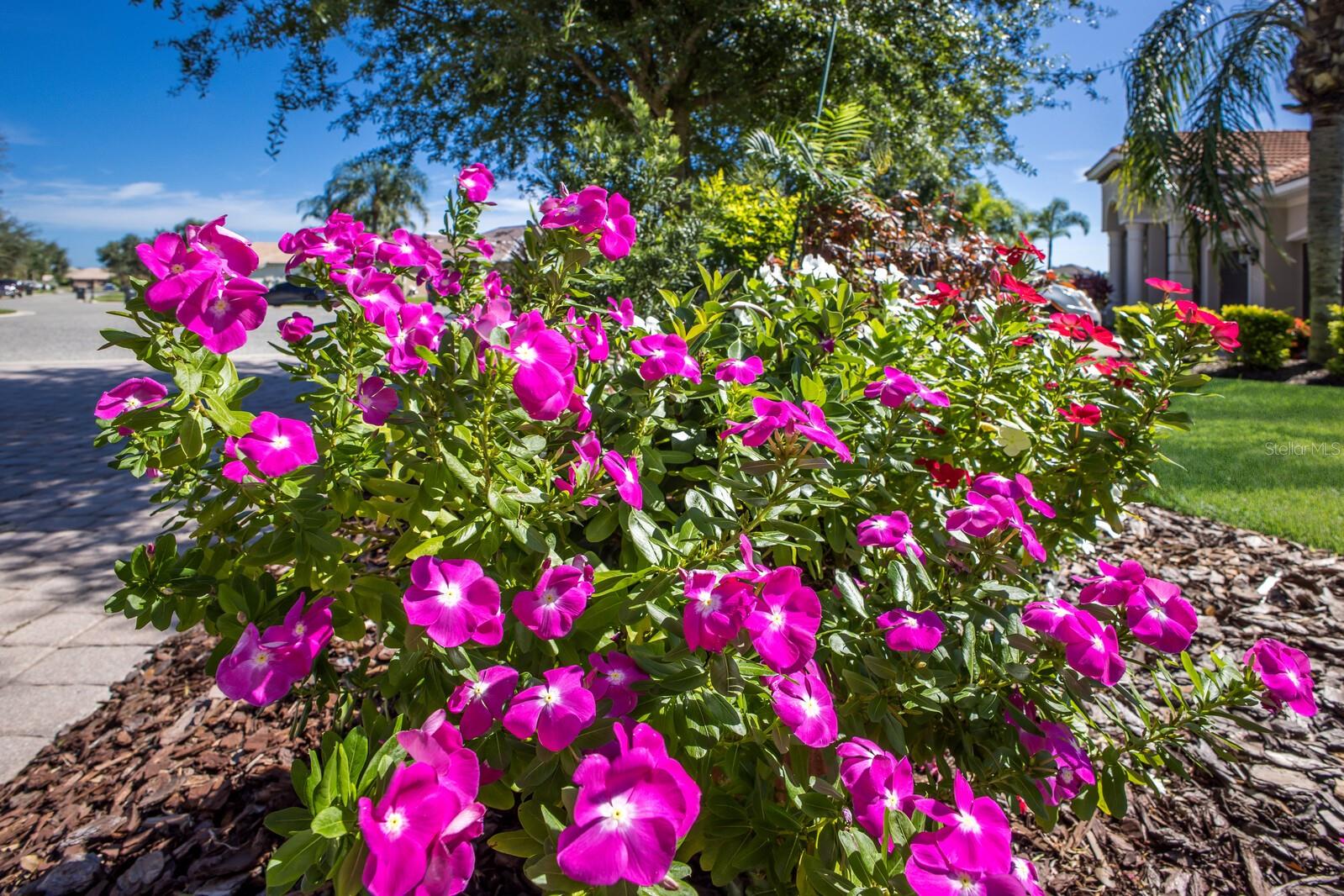 12838 DAISY PL, BRADENTON, FL, 34212