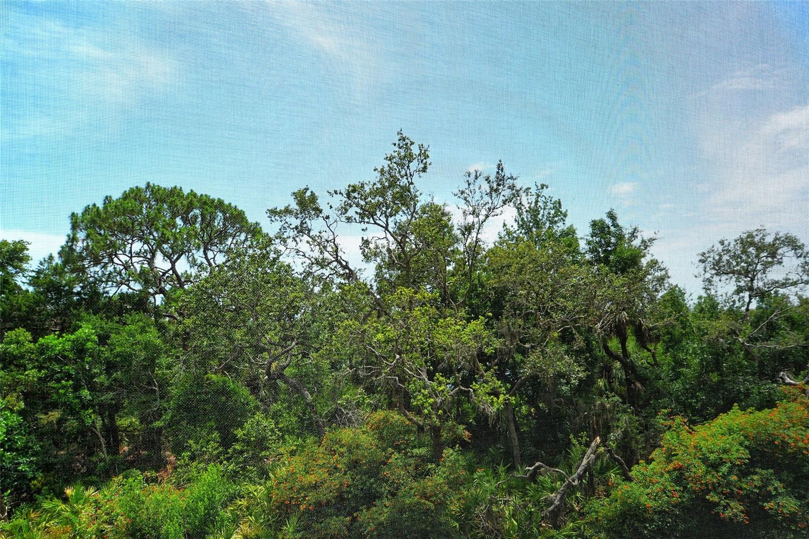 401 NORTH POINT RD #404, OSPREY, FL, 34229