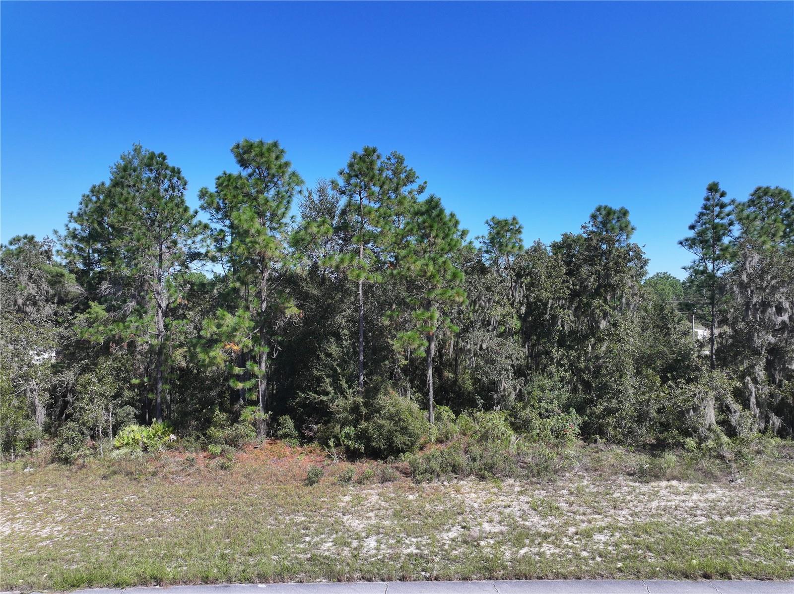 SW 139TH PLACE ROAD, OCALA, FL, 34473