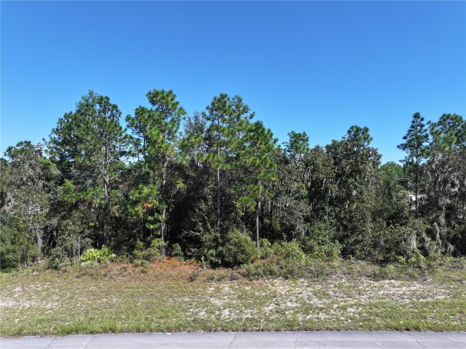SW 139TH PLACE ROAD, OCALA, FL, 34473