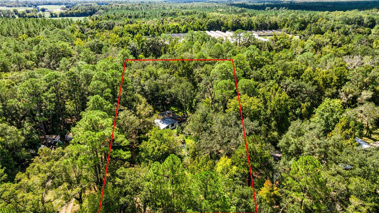 4202 NE 119TH TER, GAINESVILLE, FL, 32641