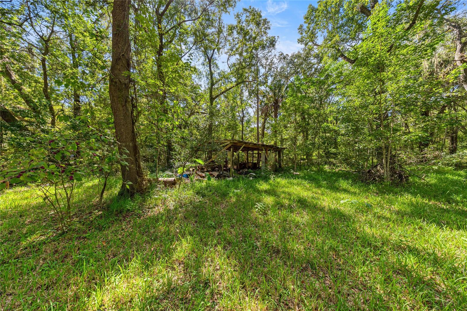 4202 NE 119TH TER, GAINESVILLE, FL, 32641