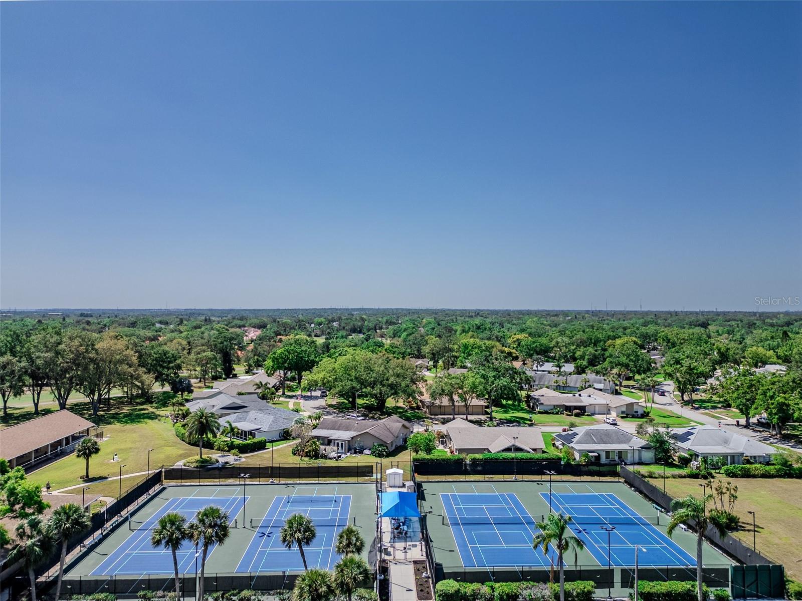 2241 SHELLY DR #D, PALM HARBOR, FL, 34684