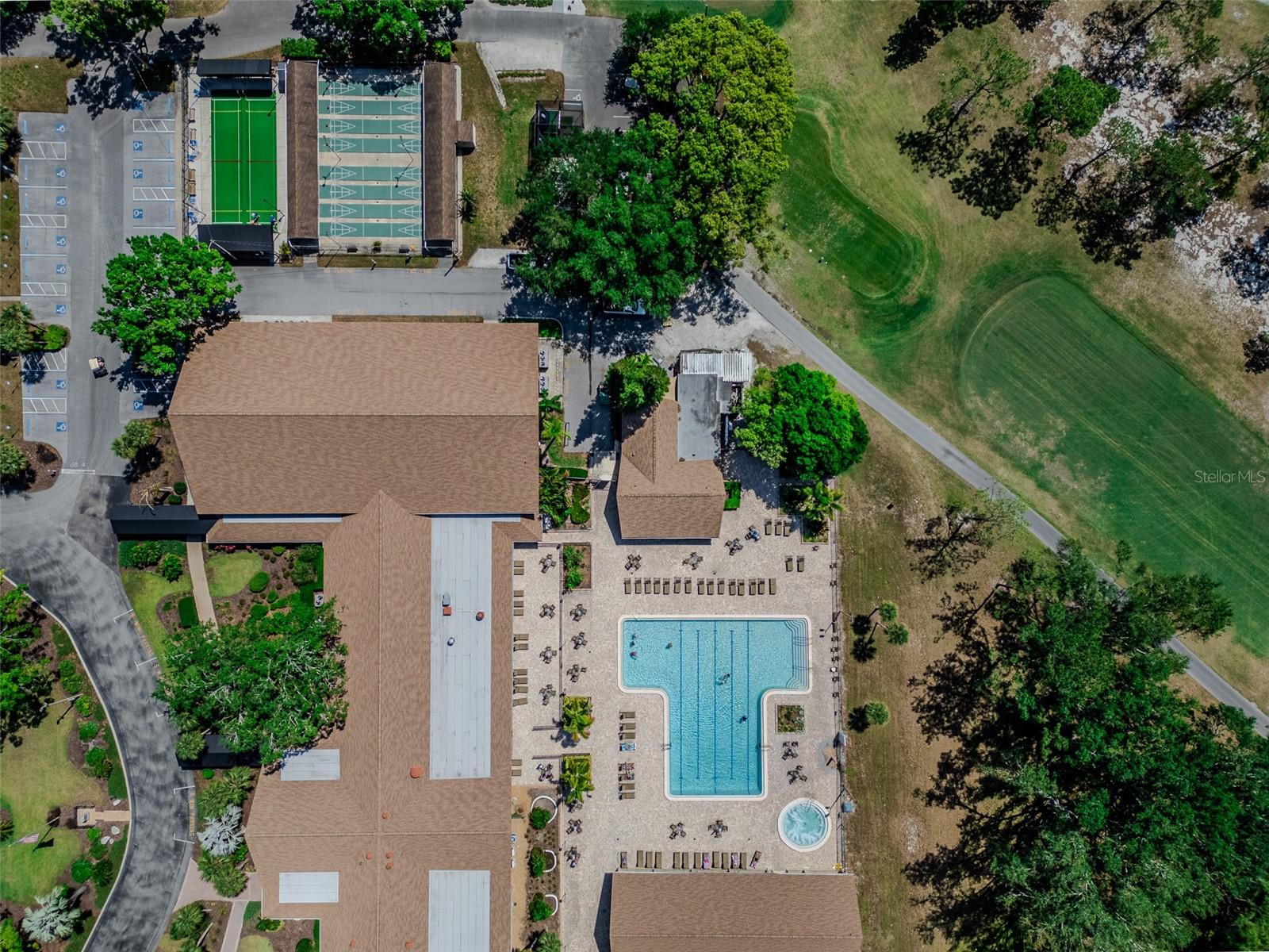 2241 SHELLY DR #D, PALM HARBOR, FL, 34684