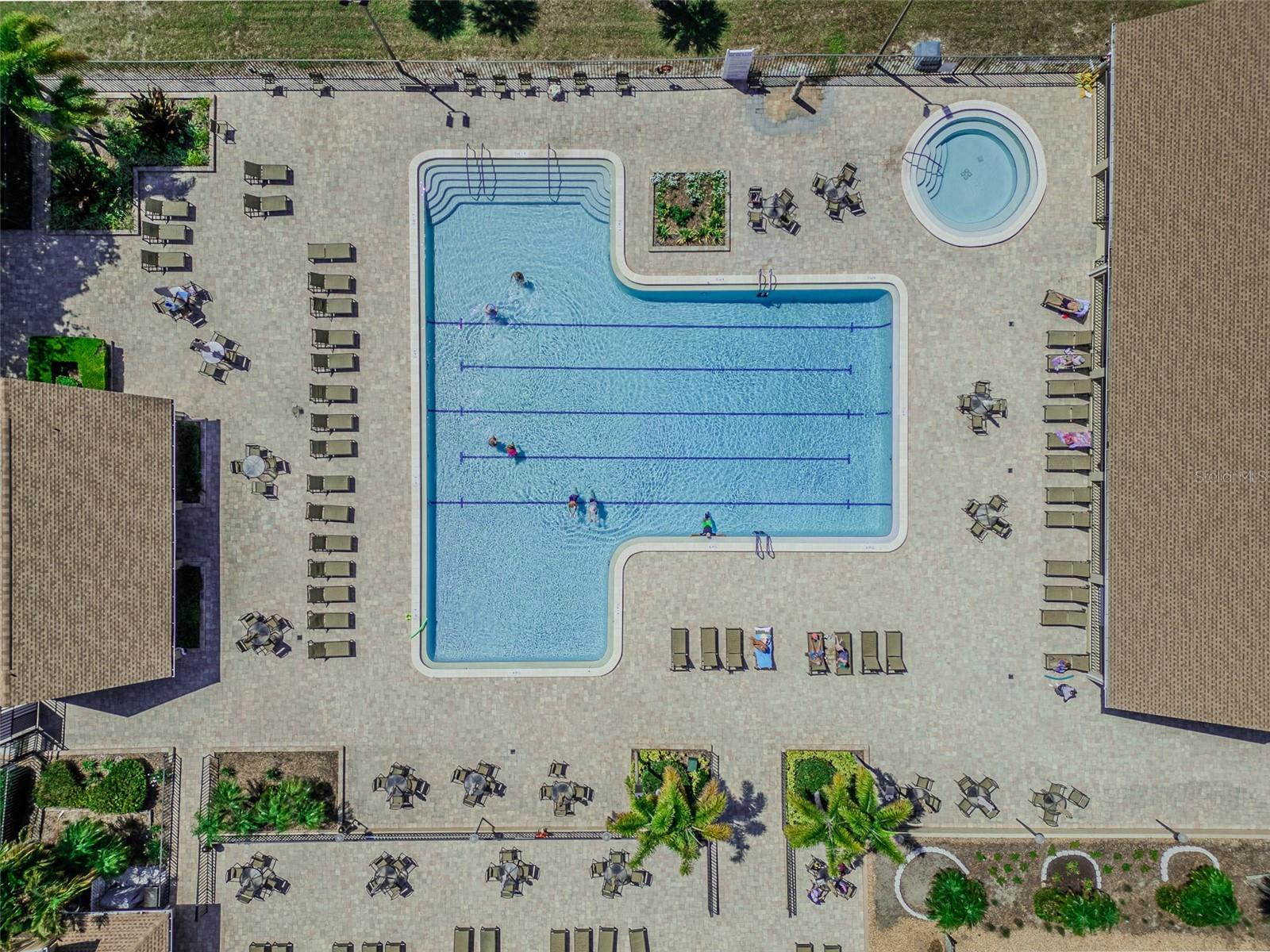 2241 SHELLY DR #D, PALM HARBOR, FL, 34684