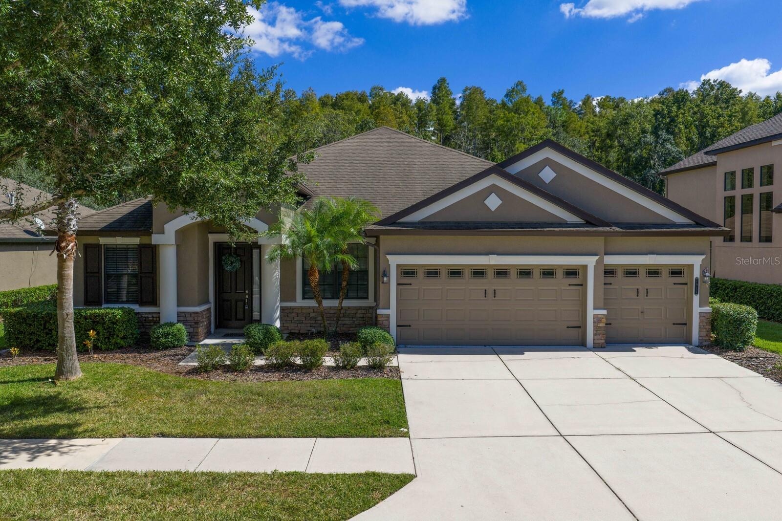 7911 HAMPTON LAKE DR, TAMPA, FL, 33647