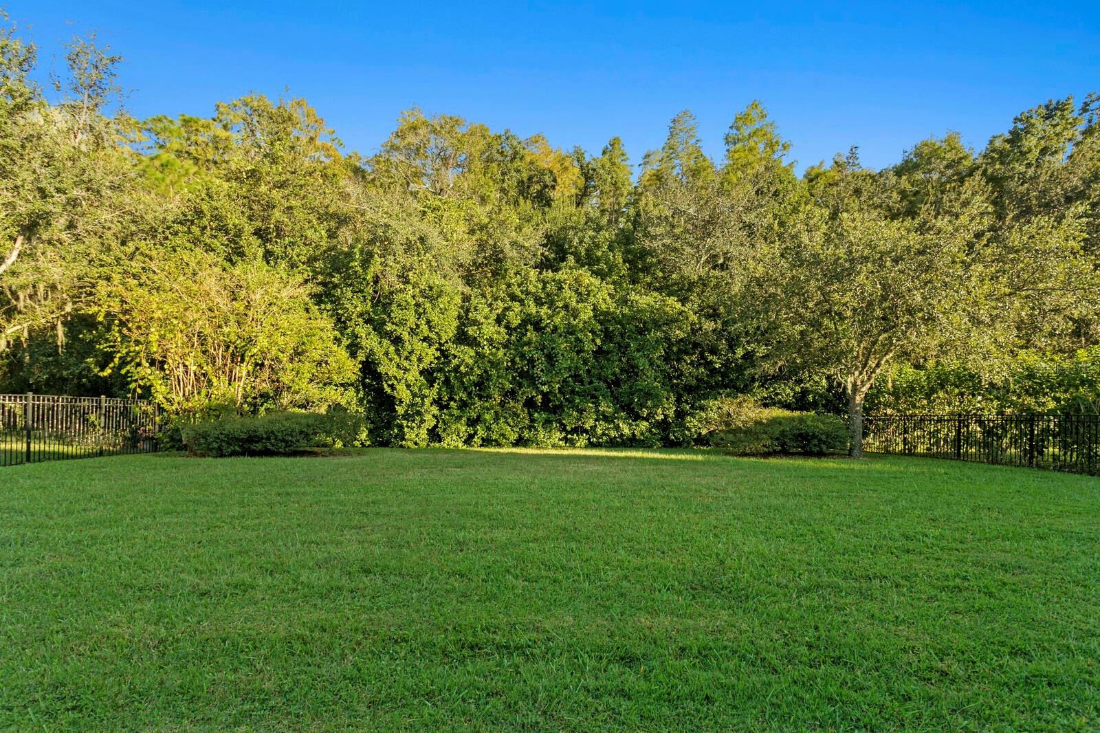 7911 HAMPTON LAKE DR, TAMPA, FL, 33647