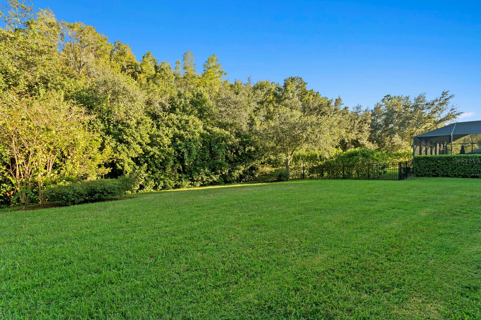 7911 HAMPTON LAKE DR, TAMPA, FL, 33647