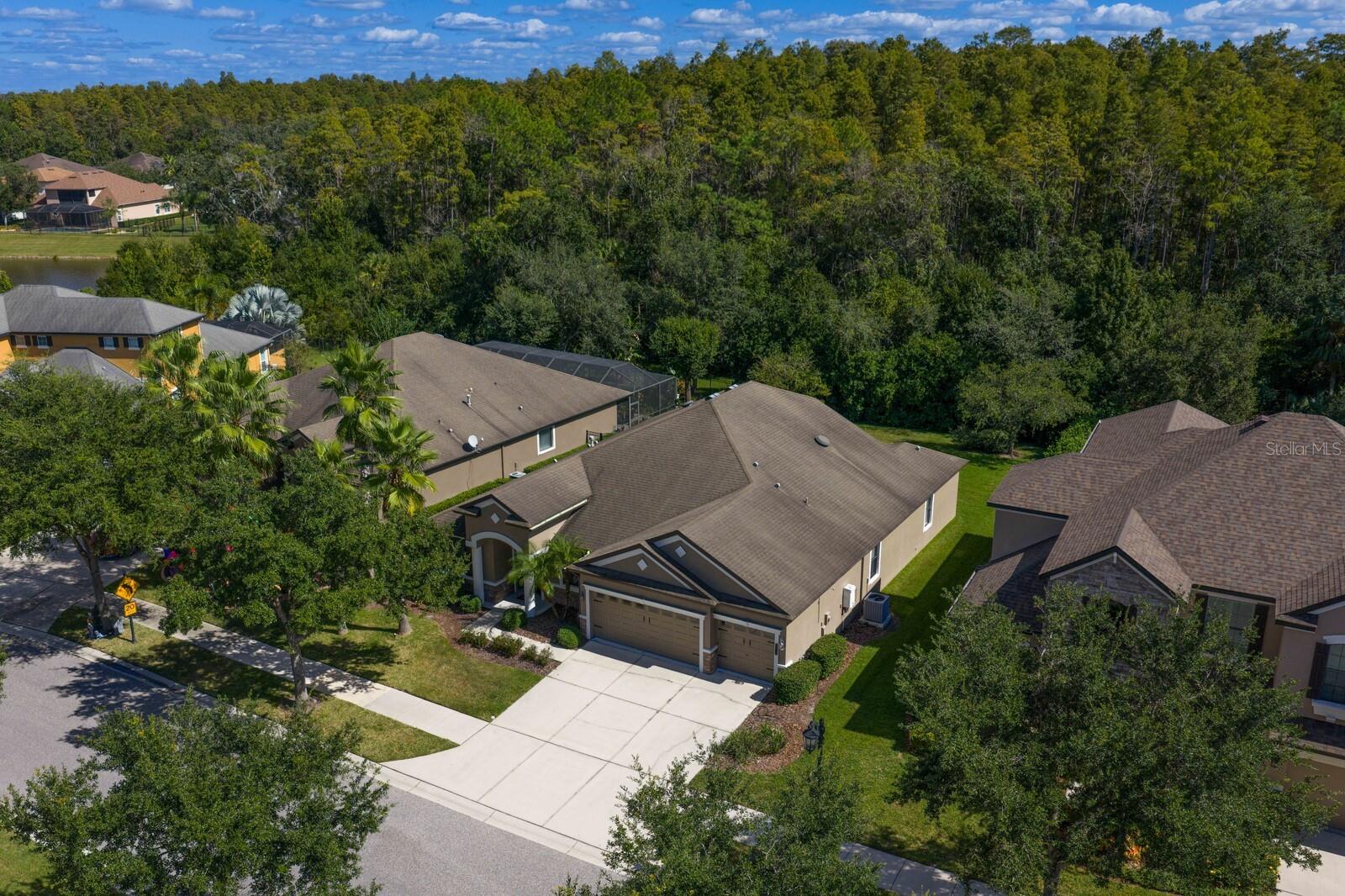 7911 HAMPTON LAKE DR, TAMPA, FL, 33647