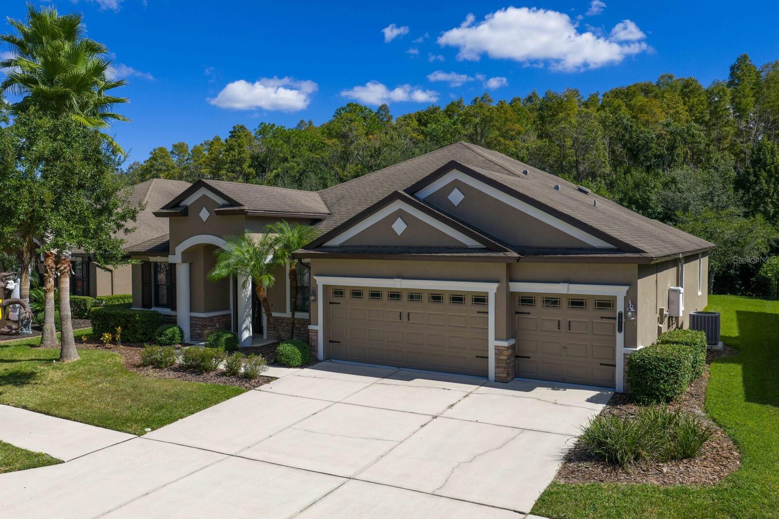 7911 HAMPTON LAKE DR, TAMPA, FL, 33647