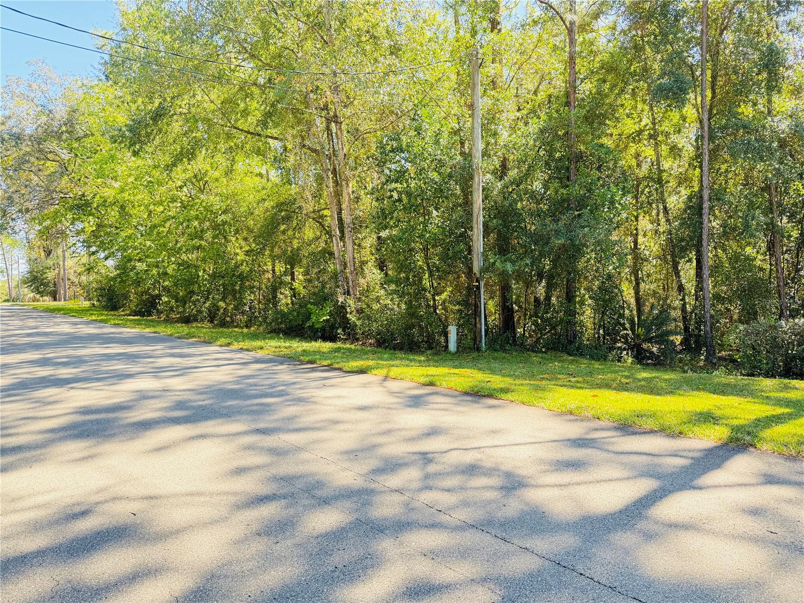 1188 W PEARSON ST, HERNANDO, FL, 34442