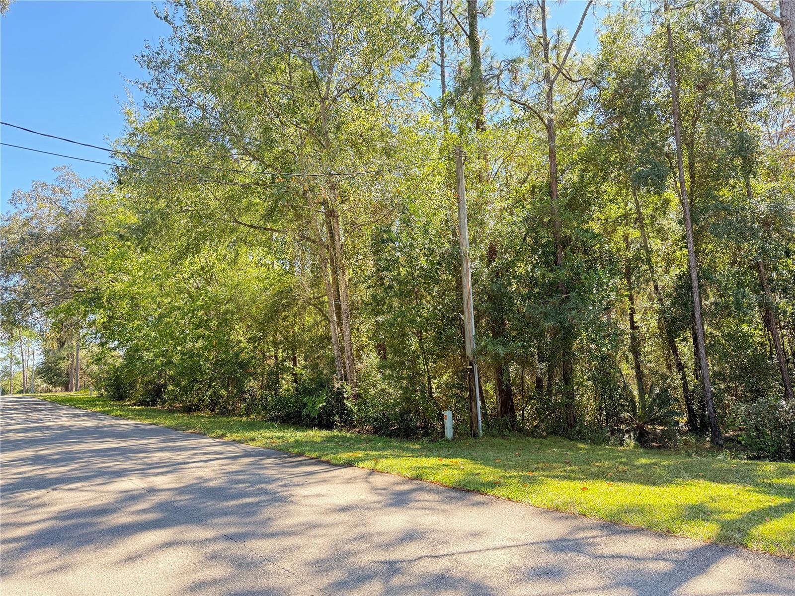 1188 W PEARSON ST, HERNANDO, FL, 34442