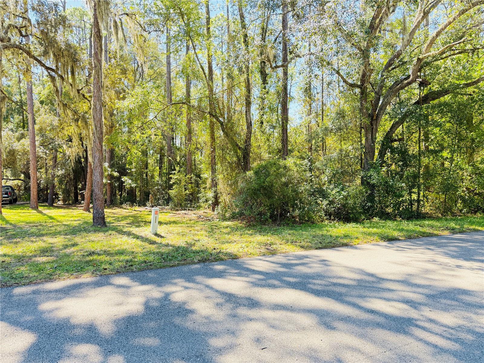 1188 W PEARSON ST, HERNANDO, FL, 34442