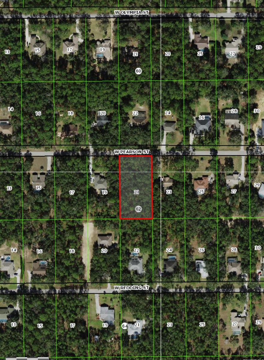 1188 W PEARSON ST, HERNANDO, FL, 34442