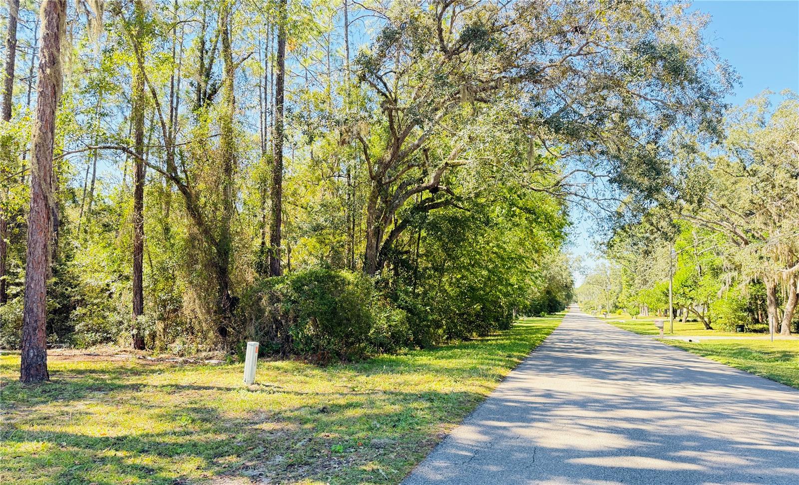 1188 W PEARSON ST, HERNANDO, FL, 34442