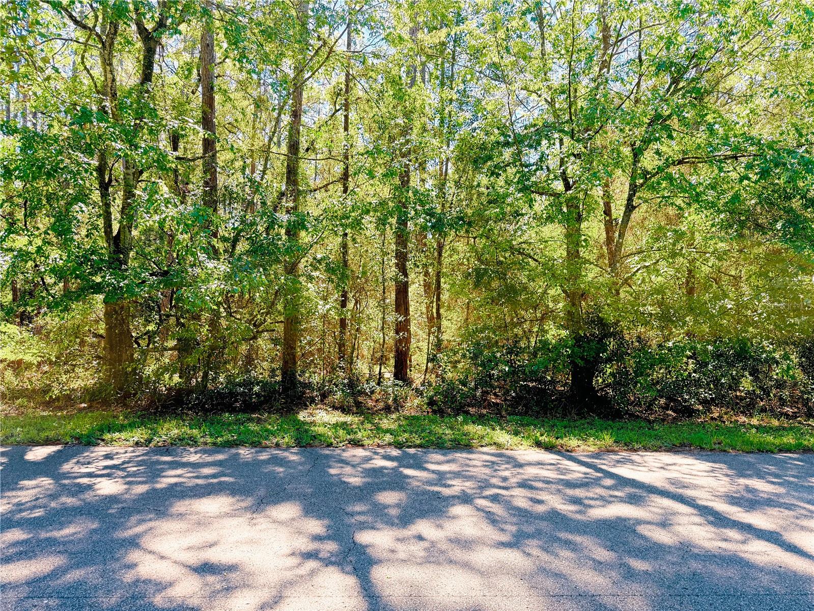 1188 W PEARSON ST, HERNANDO, FL, 34442