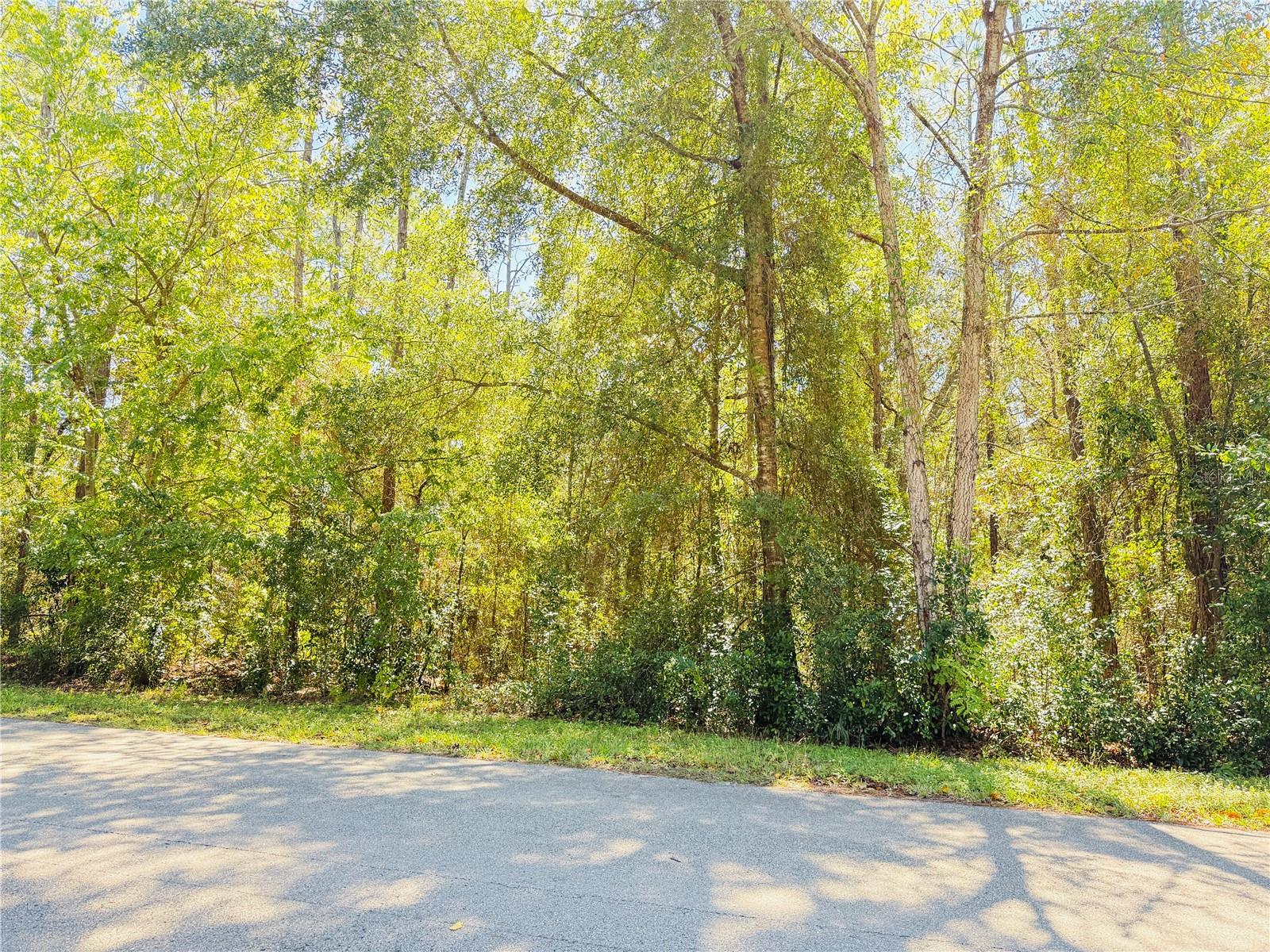 1188 W PEARSON ST, HERNANDO, FL, 34442