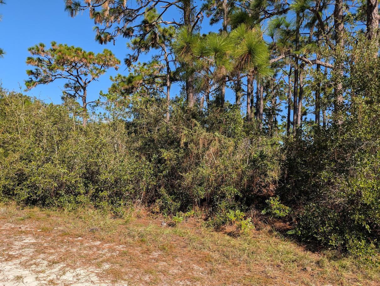 806 EL DORADO DR, INDIAN LAKE ESTATES, FL, 33855