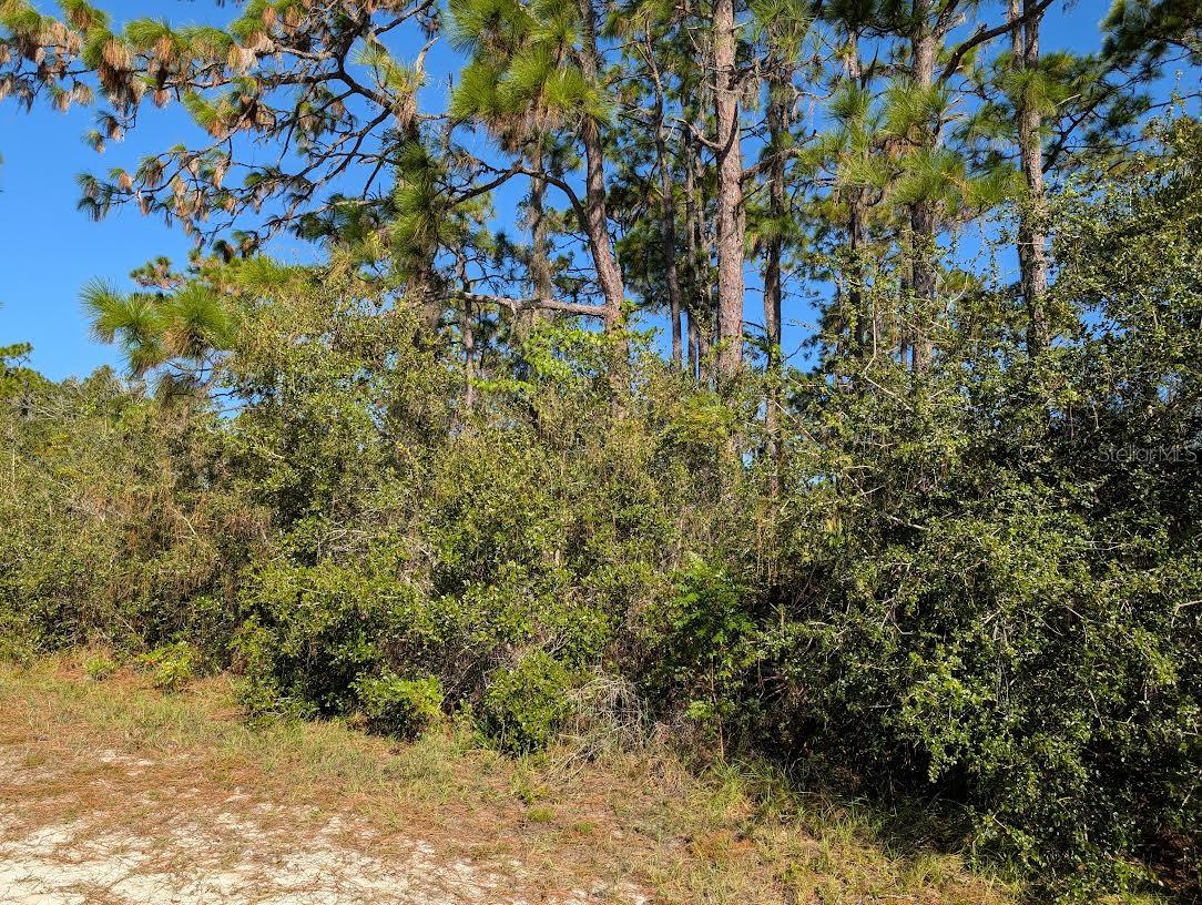 806 EL DORADO DR, INDIAN LAKE ESTATES, FL, 33855