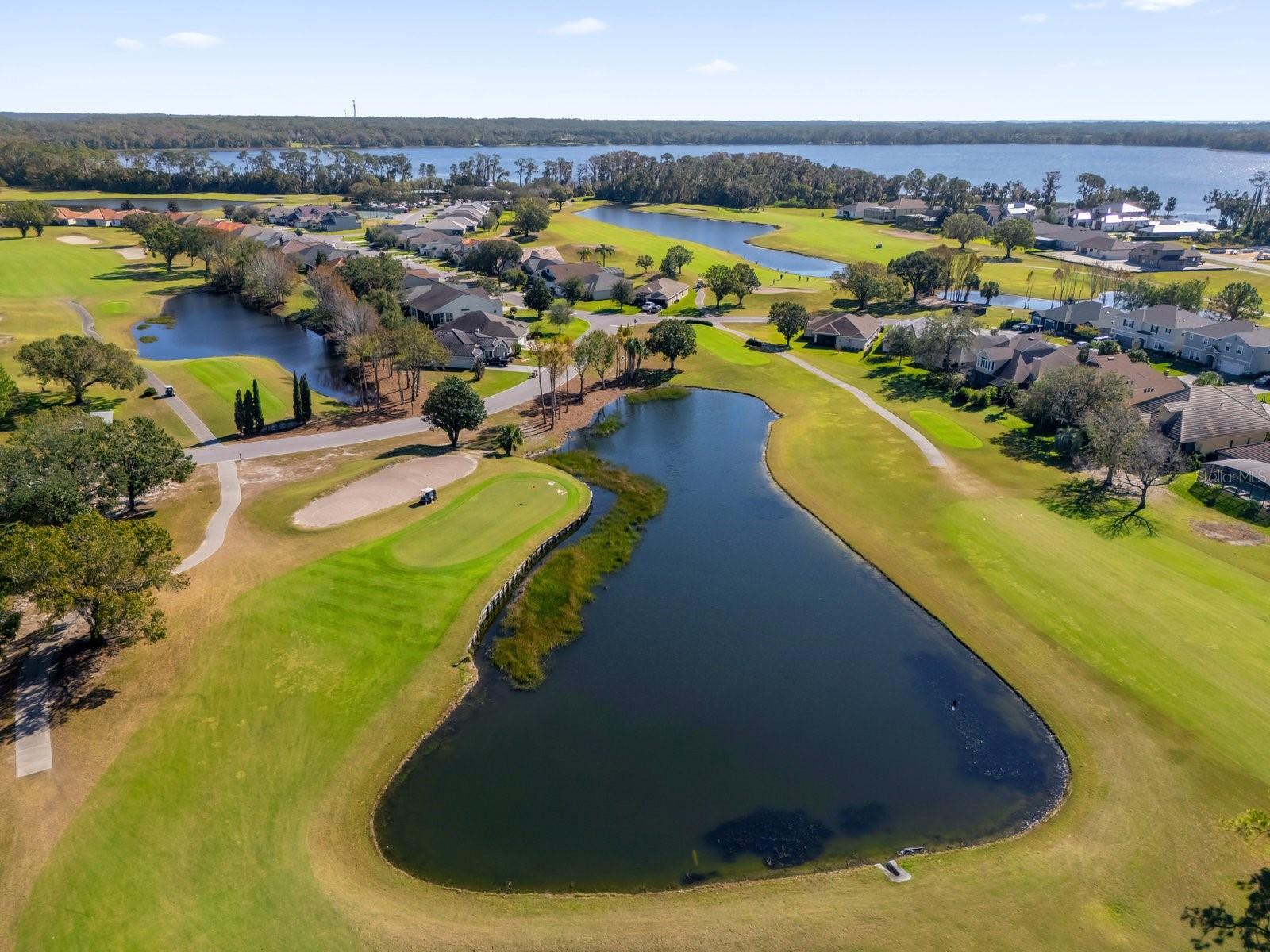 17708 SAWGRASS RUN, TAVARES, FL, 32778