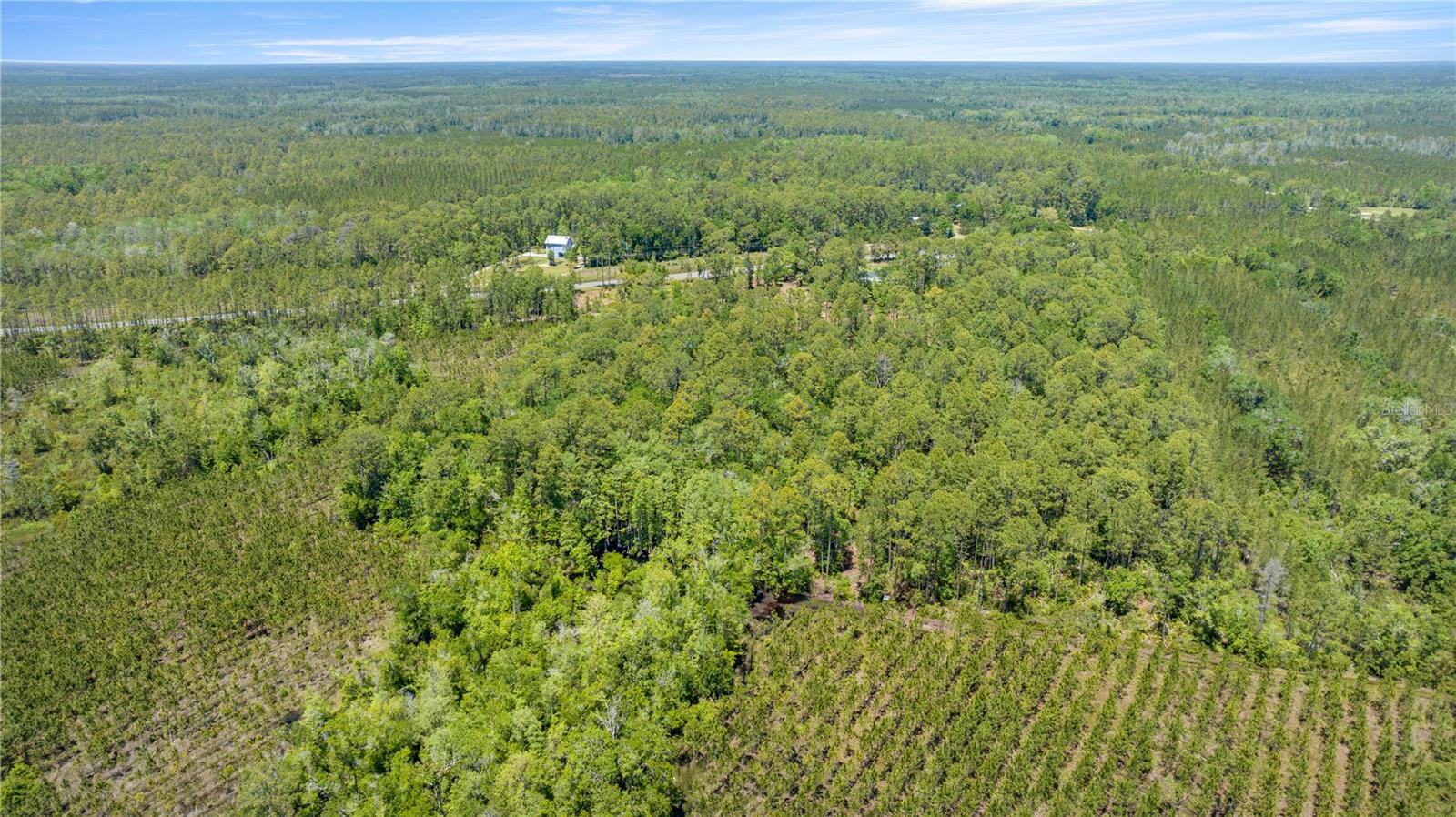 1351 SW STATE ROAD 24, CHIEFLAND, FL, 32626