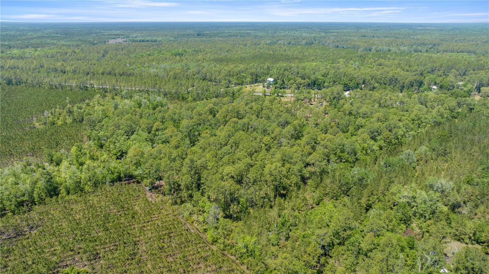 1351 SW STATE ROAD 24, CHIEFLAND, FL, 32626