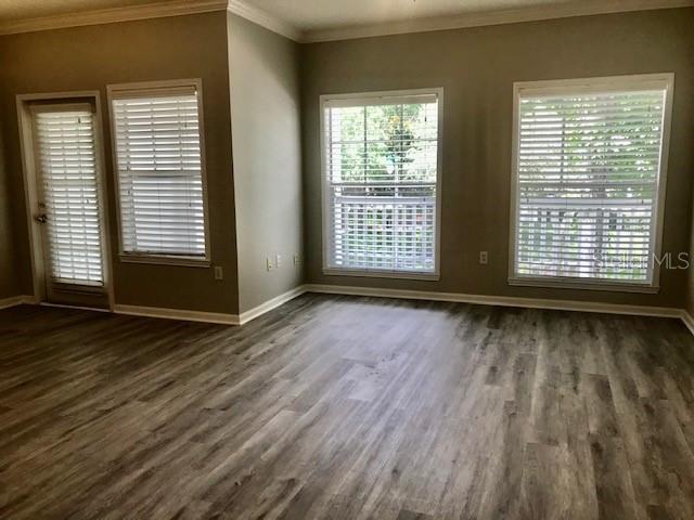 599 CAMPUS ST #599, CELEBRATION, FL, 34747