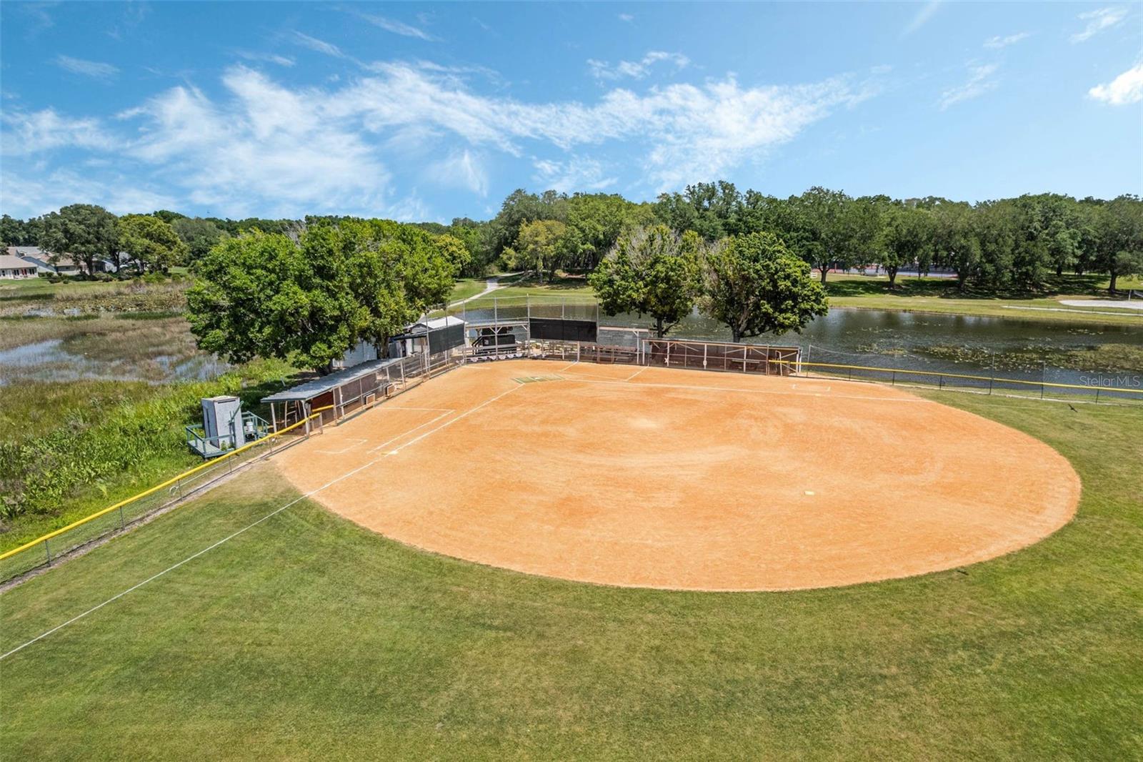 24802 PINE HL, LEESBURG, FL, 34748