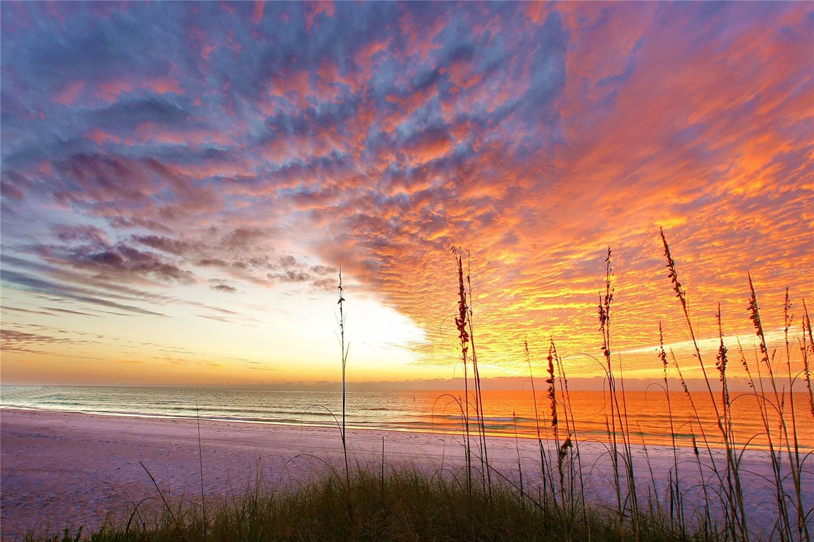 A4668568 Property Photo