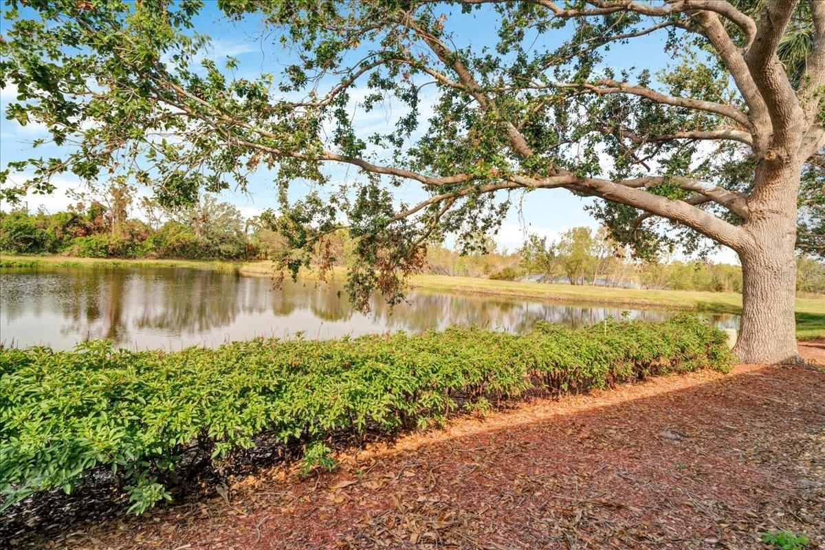 4181 LENOX BLVD, VENICE, FL, 34293