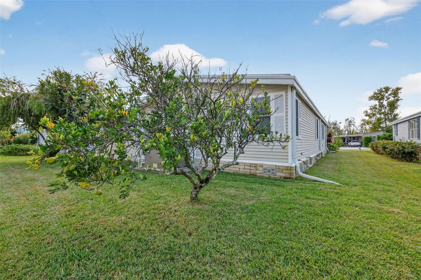 3324 MYAKKA RIVER RD, TAVARES, FL, 32778